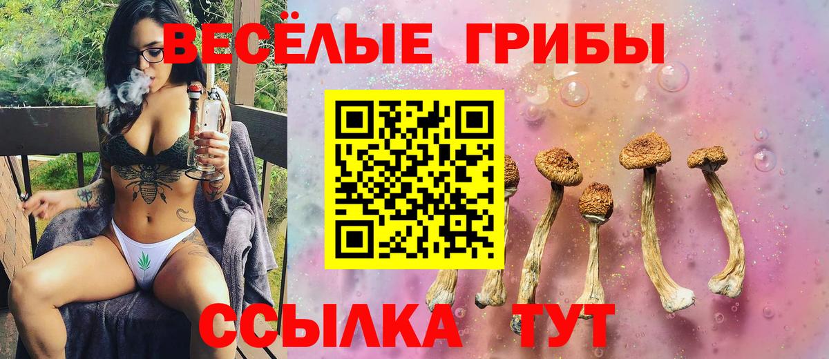 Родники  Псилоцибиновые грибы Psilocybe  Галлюциногенные грибы Psilocybe  Вход с VPN 